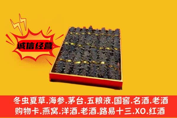 厦门市水头回收海参